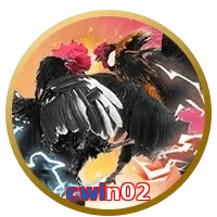 cwin02