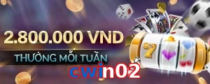 cwin02