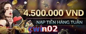 cwin02