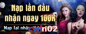 cwin02