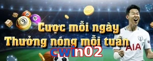 cwin02
